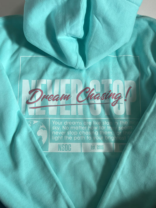 Tiffany blue cozy hoody